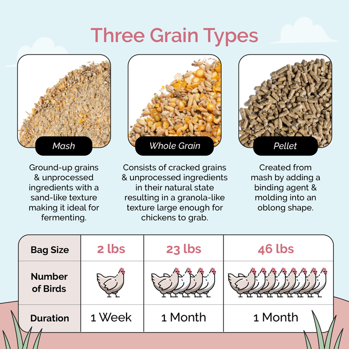 Layer Feed Kit | 1 Month of Organic Feed, Scratch, Grit & Oyster Shell for 6 Layers