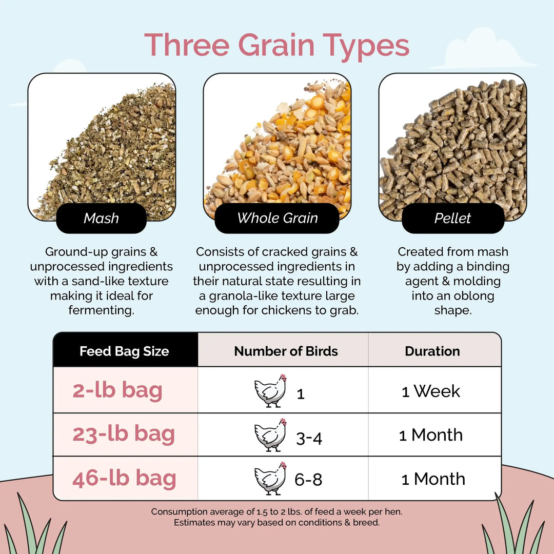 Layer Feed Kit | 1 Month of Organic Feed, Grit & Oyster Shell for 6 Layers