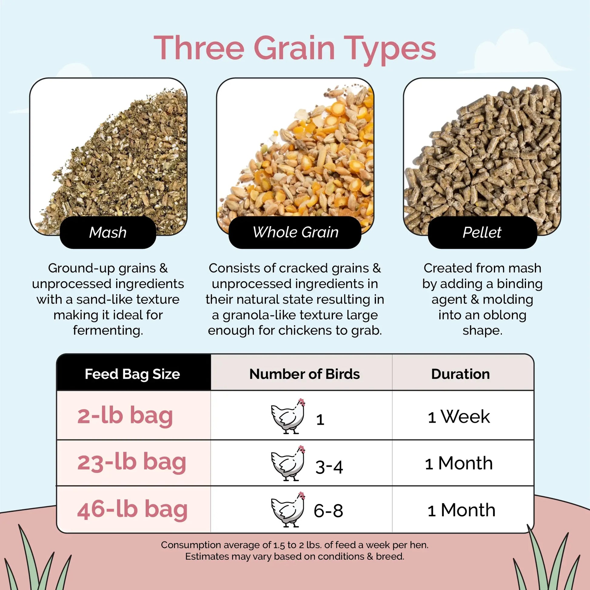 Organic chicken feed kit with grit for 6 chickens, includes mash, pellet, and whole grain options by Mile Four