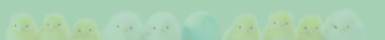 Row of colorful chicks on a green background