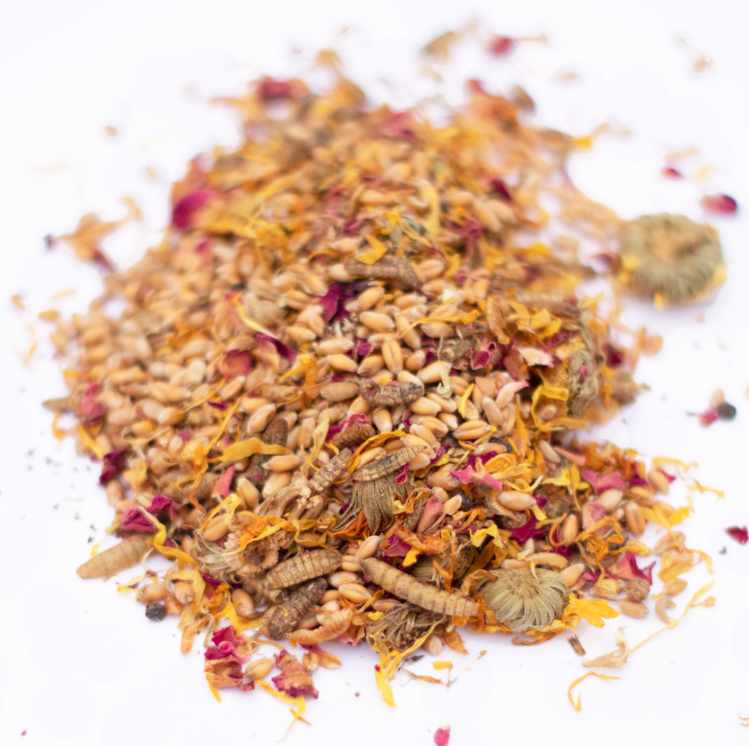 Brown bag of Dahlia Pets PowerHen High Protein Chicken Treats with mealworms and black soldier fly, 4 pounds