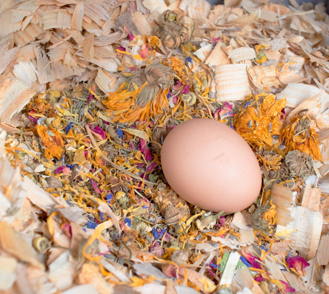 Natural Nesting Herbs for Chickens - Chamomile, Lavender & Rose