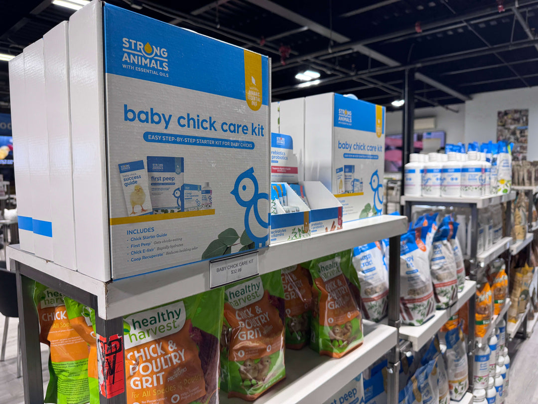 Baby Chick Care Kit