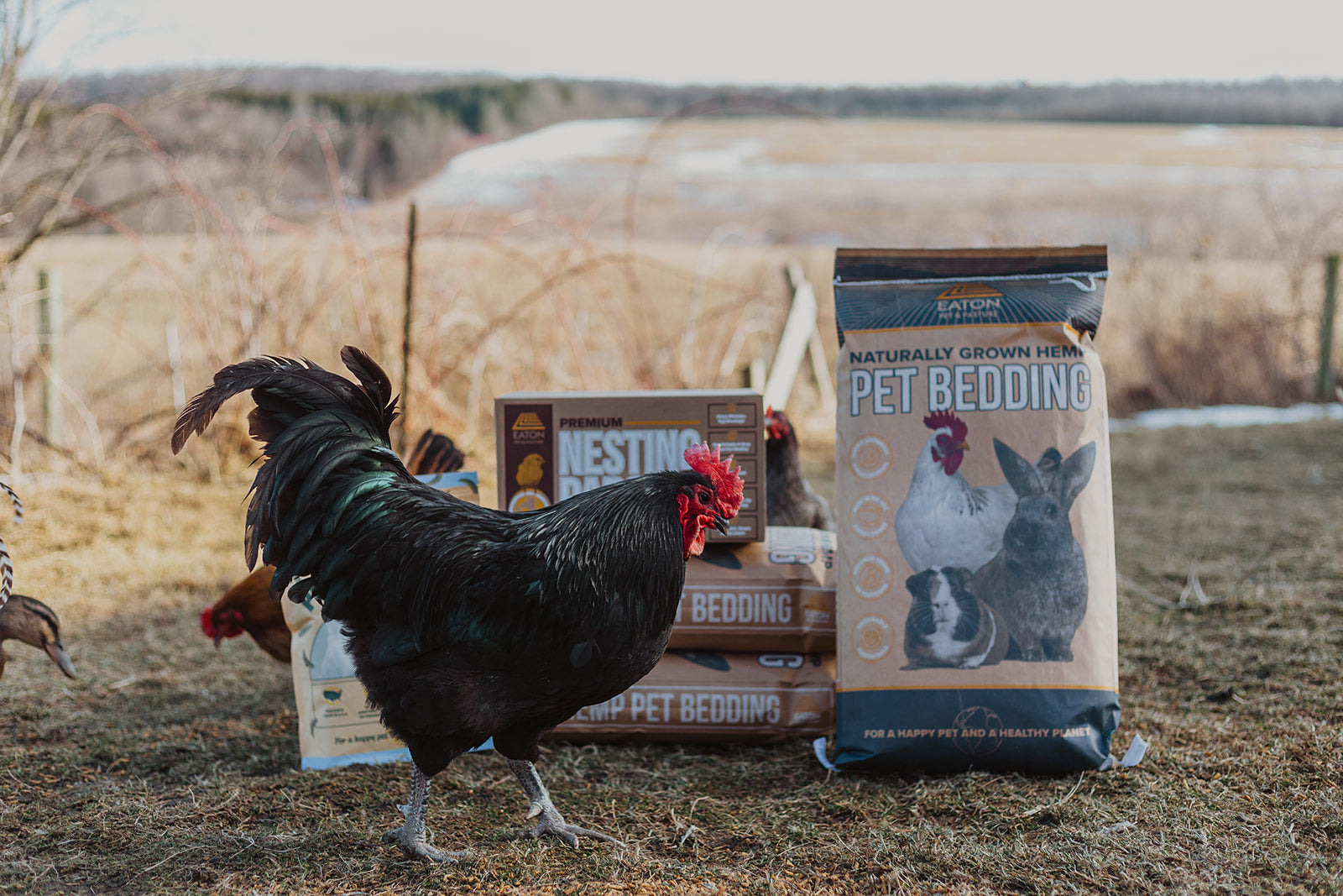 Premium Chicken Coop Bundle with hemp bedding, nesting pads, and grubs by Eaton Pet and Pasture.
