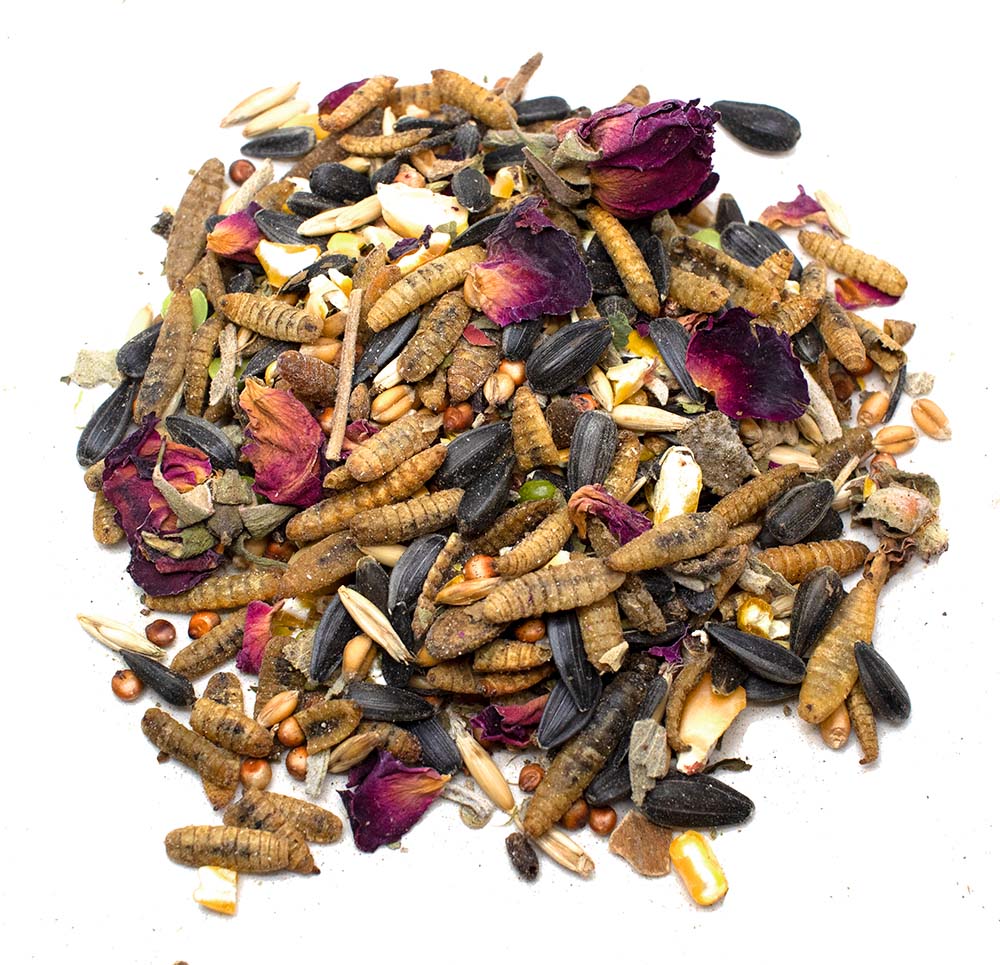 Omega-3 rich chicken treat mix with BloomGrubs, seeds, and dried flowers from Dahlia Pets, available in 4lb and 8lb options.