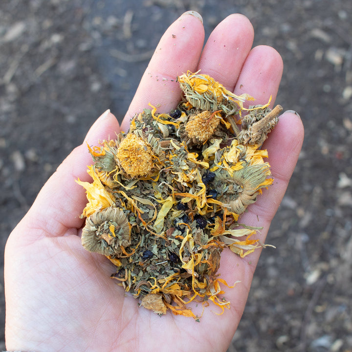 StrongHen Herbal Nesting Box Blend - Natural Chicken Coop Herbs