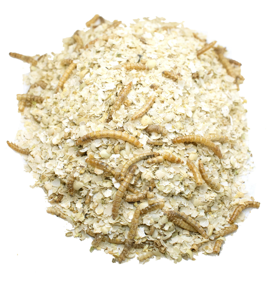 Mealworm and oats mix for chickens, suitable for freezing or serving warm, by Dahlia Pets, 4 or 8-pound sizes.