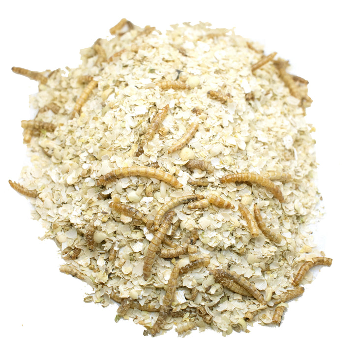 Mealworm and oats mix for chickens, suitable for freezing or serving warm, by Dahlia Pets, 4 or 8-pound sizes.