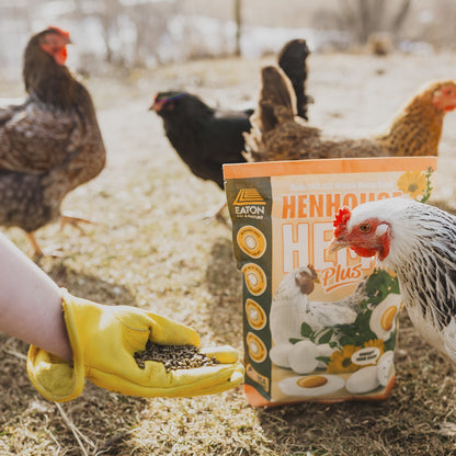Natural chicken feed supplement in a bag held by a hand, with chickens foraging nearby; Eaton Pet and Pasture brand.
