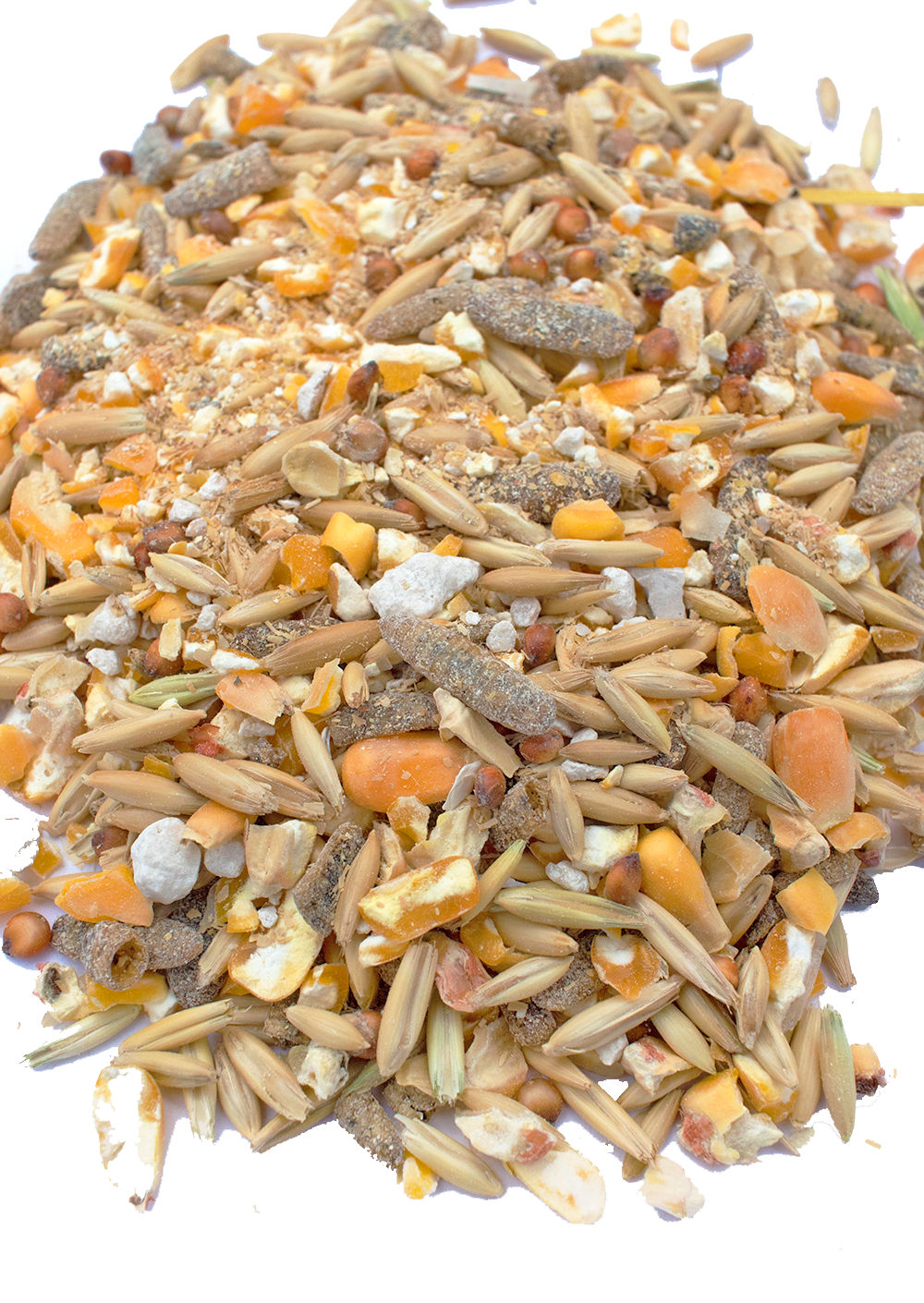 Soy-free layer feed blend with 16% protein, featuring black soldier fly larvae and fishmeal, by Dahlia Pets.