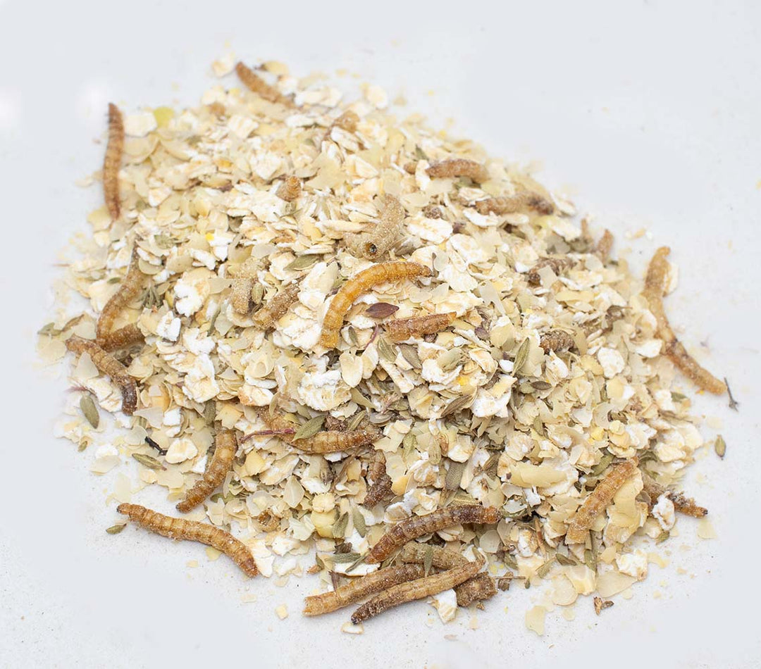 Valentine's Chicken Treat Box - 7 Premium Treats (12 lbs)