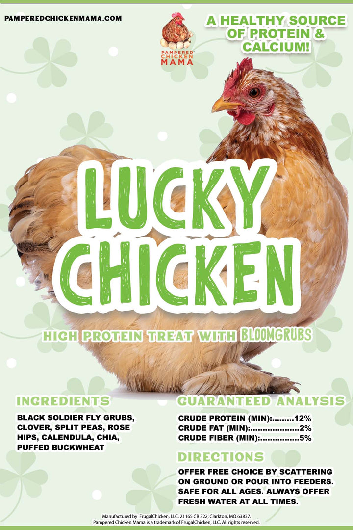 Protein-Rich Chicken Treat with Black Soldier Fly Larvae