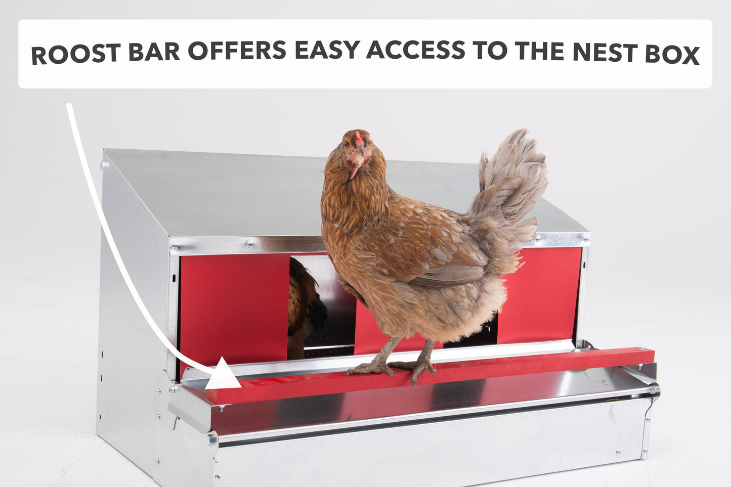 34-inch galvanized steel rollout nest box for 32 hens by HenGear, featuring a durable design for backyard chickens.