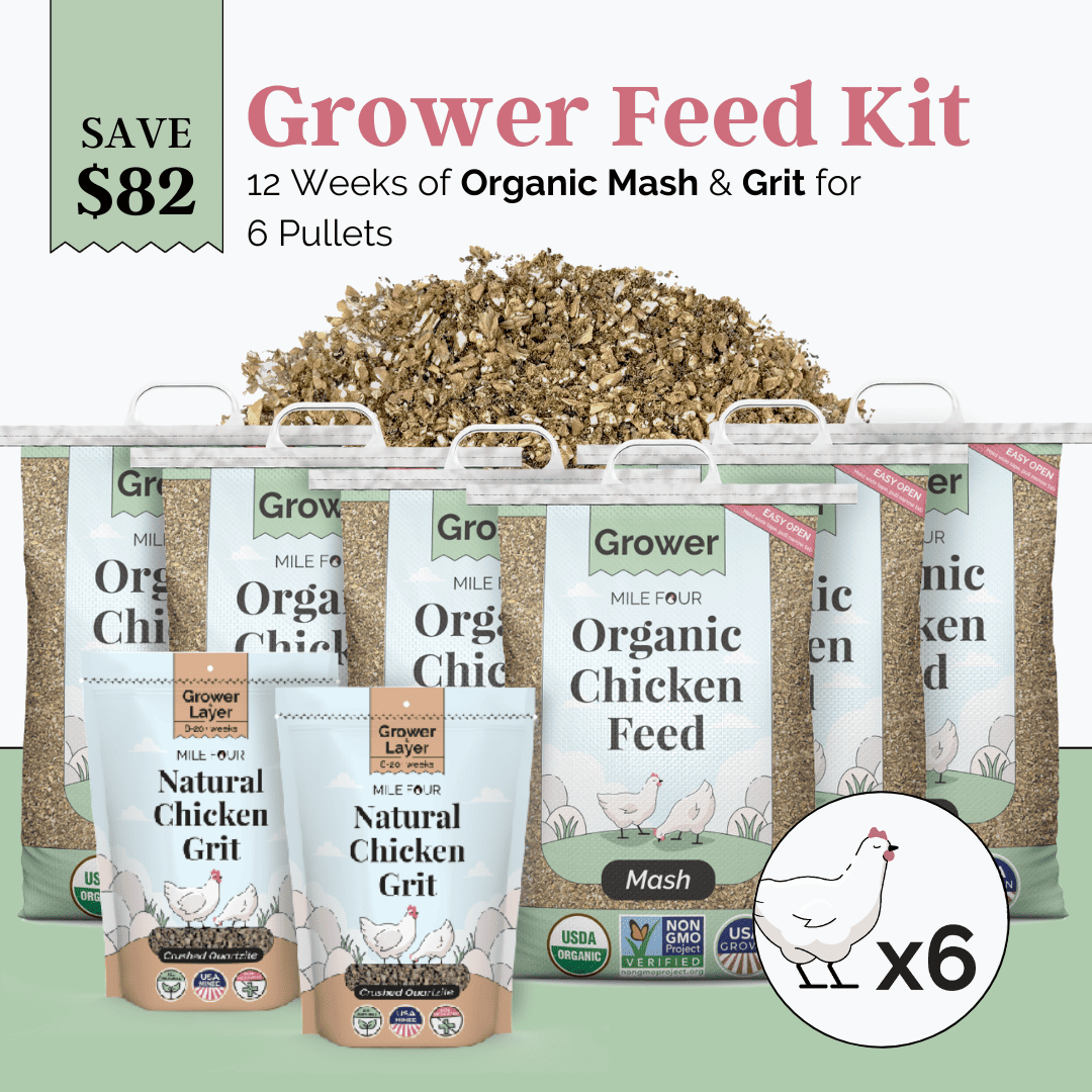 Grower Feed Kit | 12 Weeks of Organic Feed & Grit for 6 Pullets