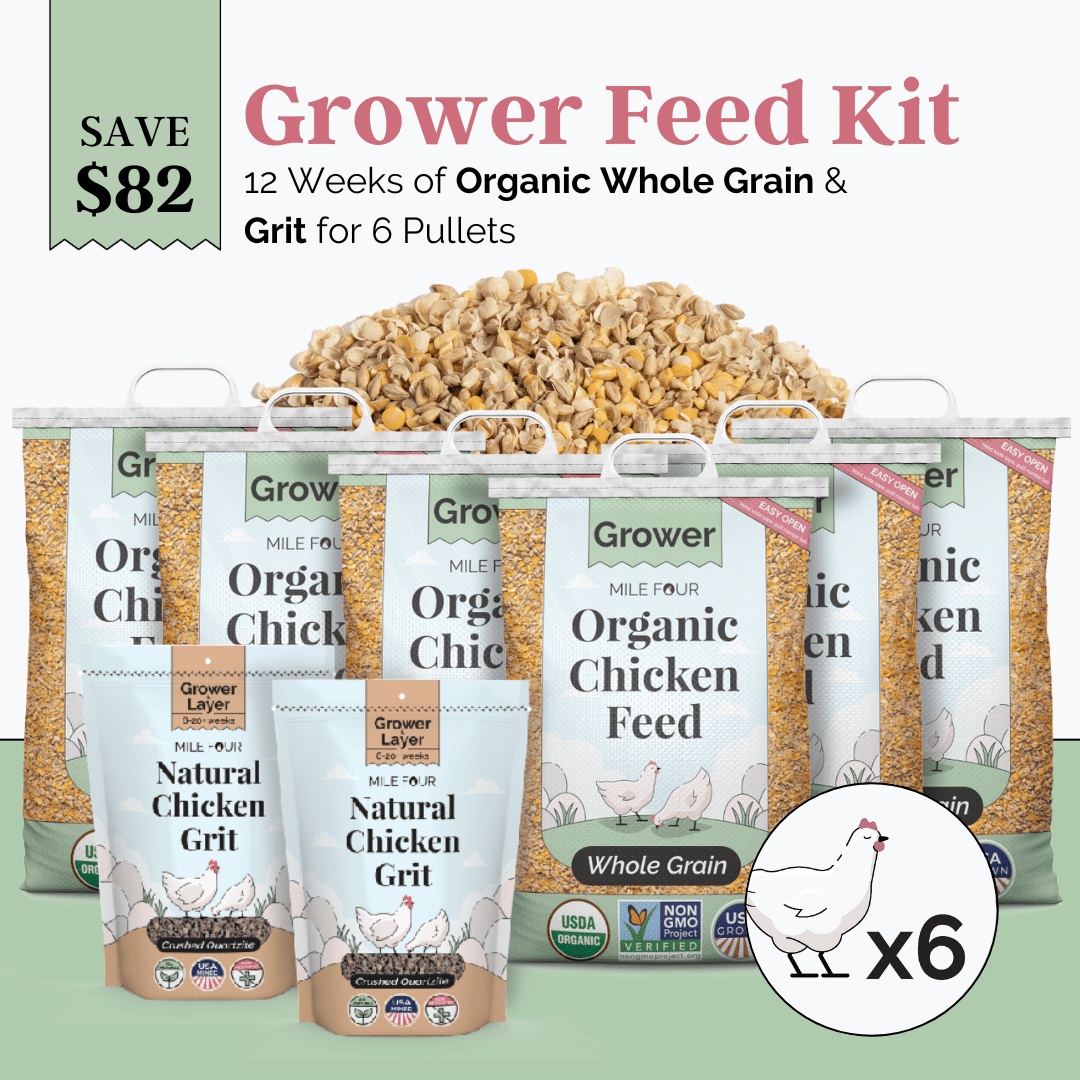 Grower Feed Kit | 12 Weeks of Organic Feed & Grit for 6 Pullets