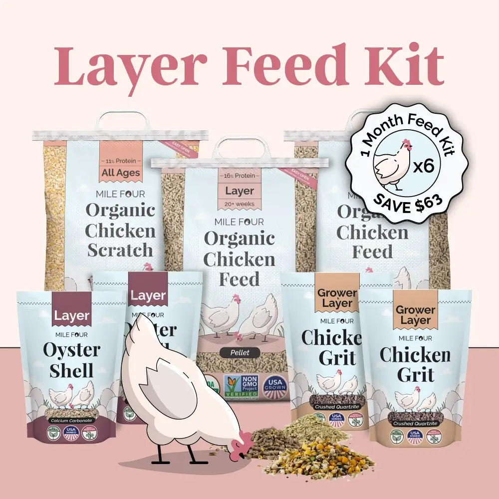 Layer Feed Kit | 1 Month of Organic Feed, Scratch, Grit & Oyster Shell for 6 Layers