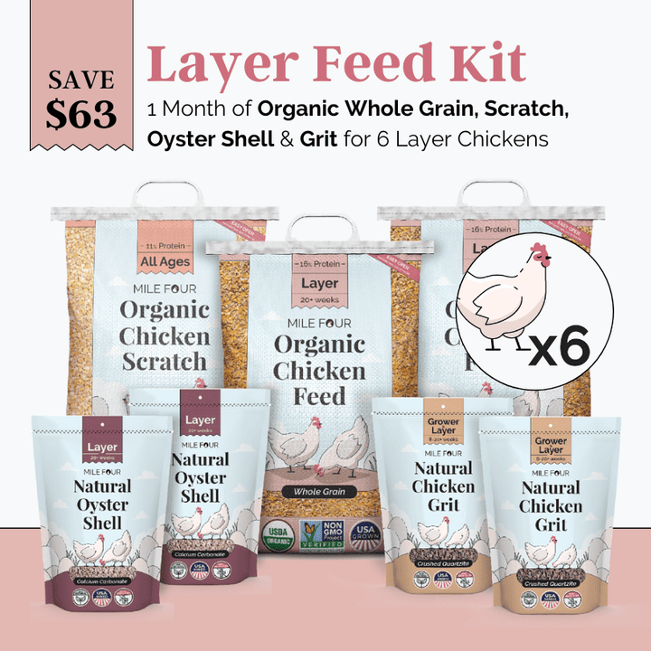 Layer Feed Kit | 1 Month of Organic Feed, Scratch, Grit & Oyster Shell for 6 Layers