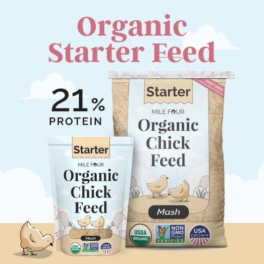 Organic Chick Starter Feed bundle by AZ Chickens, 37lb with 21% protein, includes mash feed for baby chicks.