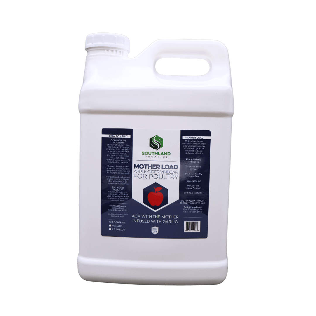 Southland Organics 2.5 Gallon raw apple cider vinegar with garlic for chickens, promoting digestive health