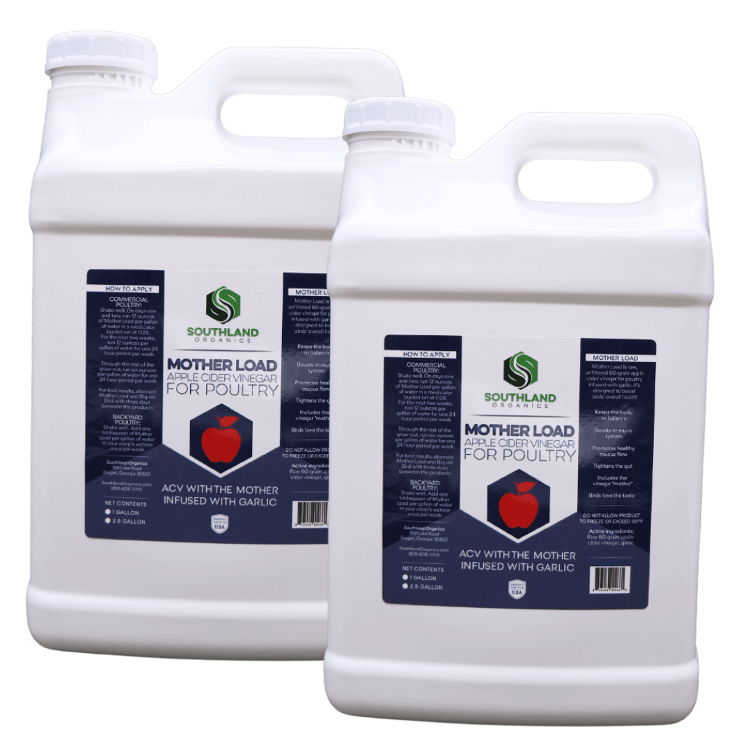 Southland Organics 2.5 Gallon raw apple cider vinegar with garlic for chickens, promoting flock health