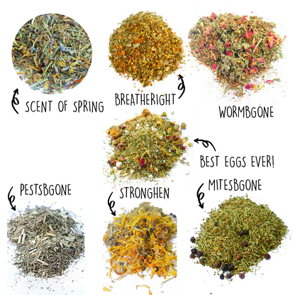 Nesting Herb Starter Bundle with seven herbal blends for pets, featuring various textures and colors.