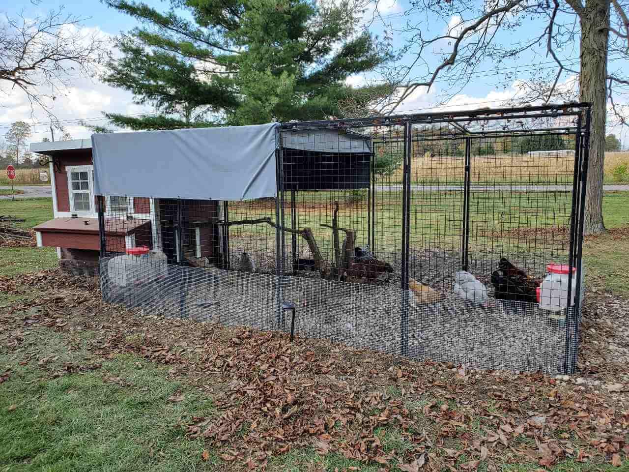 Walk-In Steel Chicken Run 15ft - 6'6"W x 15'L x 6'3"H Pre-Painted