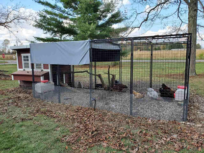 Walk-In Steel Chicken Run 15ft - 6'6"W x 15'L x 6'3"H Pre-Painted