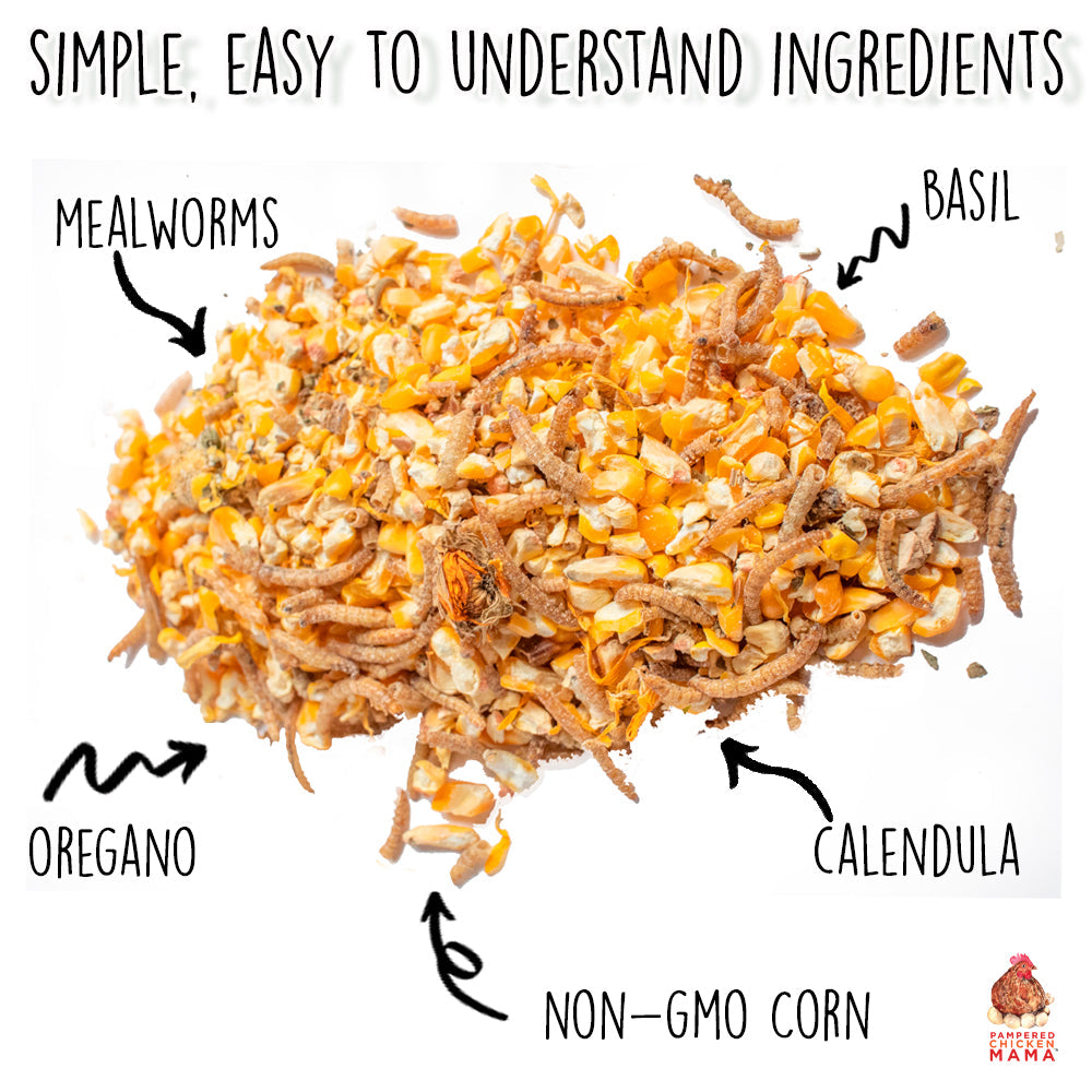 Premium mealworm chicken treats with non-GMO corn, herbs, and flax for backyard flocks by Dahlia Pets.