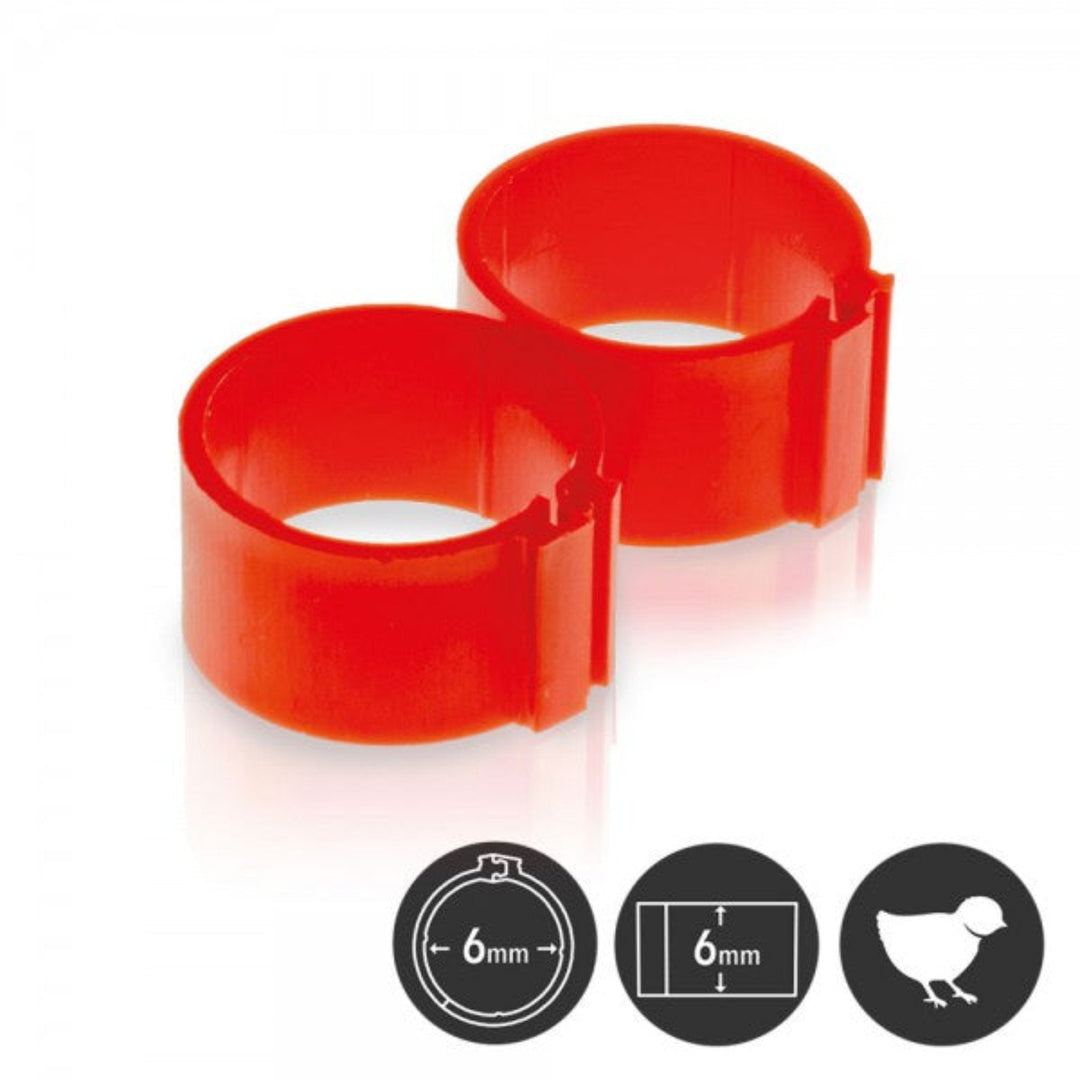 Durable Poultry Leg Bands 6mm Polypropylene - Pack of 25