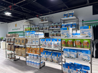 Golden Graze Chicken Feed Supplement with Omega-3, 5lb bag, suitable for backyard poultry and digestive health.