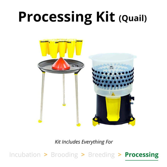 Durable ABS plastic quail processing kit with 14 cone rotating stand and kill cones by Hatching Time