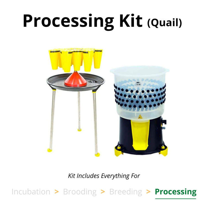 Durable ABS plastic quail processing kit with 14 cone rotating stand and kill cones by Hatching Time