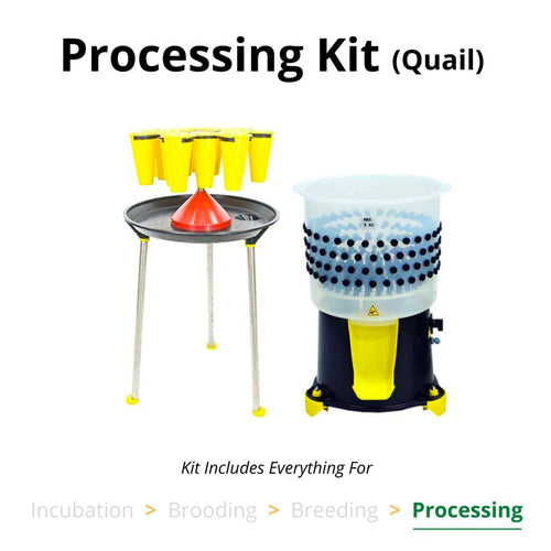 Durable ABS plastic quail processing kit with 14 cone rotating stand and kill cones by Hatching Time