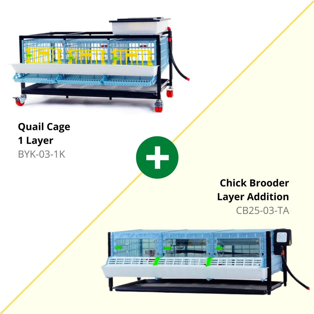 Quail Starter Kit