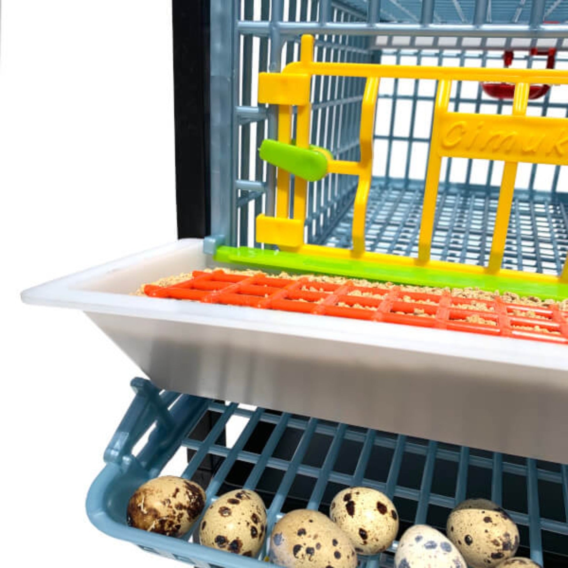 Stackable plastic quail cage in green for 15 birds, featuring a single layer design by Hatching Time