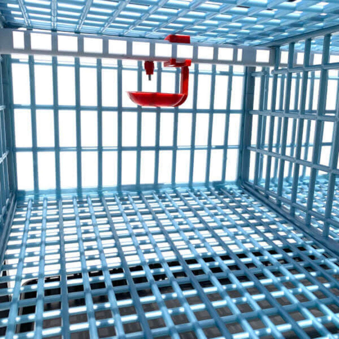 Cimuka Stackable Plastic Quail Cage - 1 Layer 15 Bird Capacity