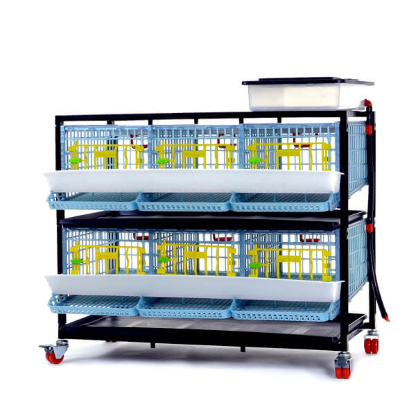 Plastic 2-layer quail breeding cage with capacity for 30 birds by Hatching Time