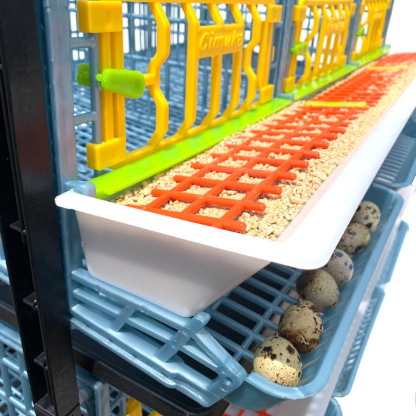 Plastic stackable 2-layer quail breeding cage by Hatching Time for 30 birds, available in traditional or jumbo flooring opti