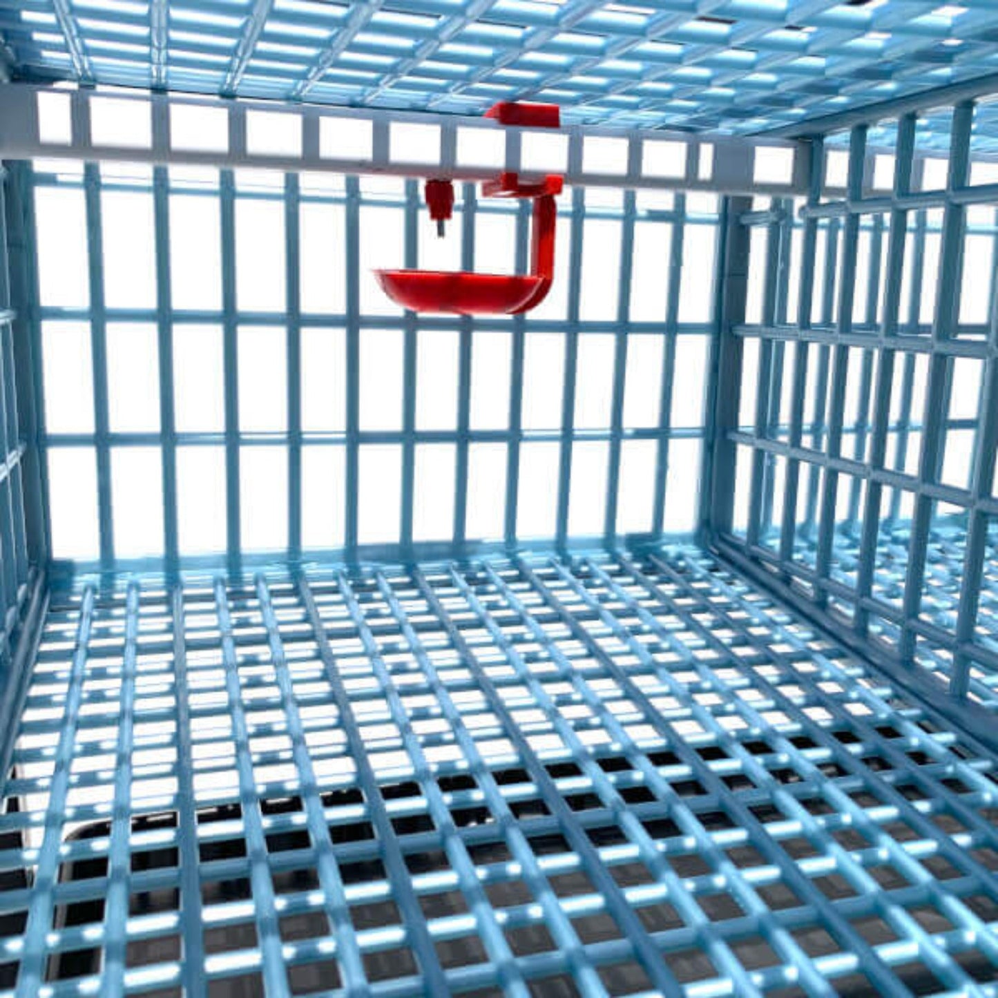 Cage à cailles - 2 couches