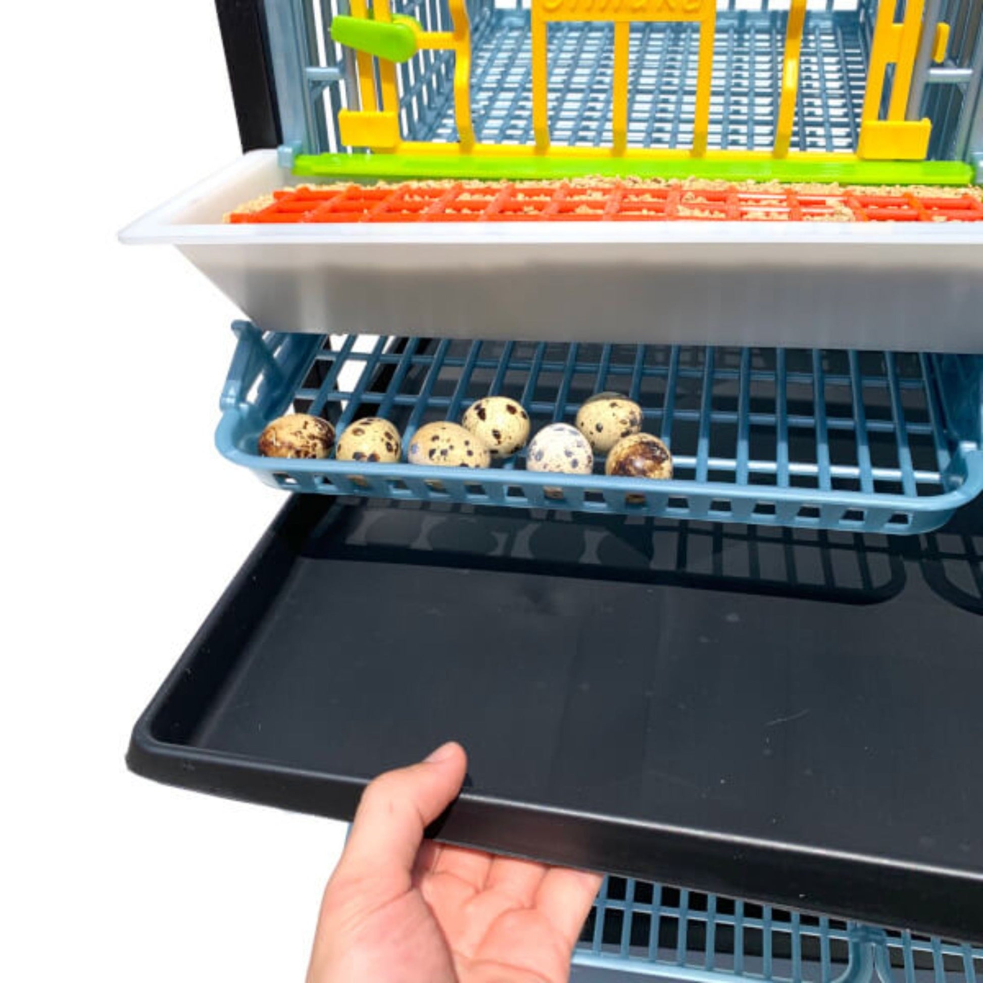 Five-layer stackable plastic quail breeding cage in white by Hatching Time with gravity-fed water system
