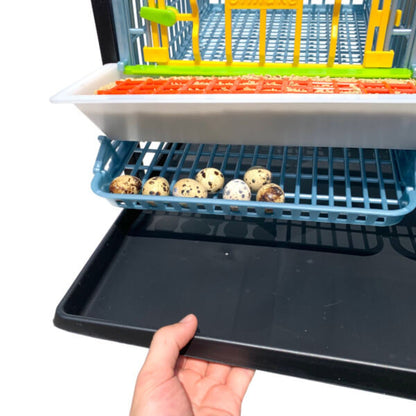 Stackable plastic quail breeding cage in green for 15 quails, easy to clean, by Hatching Time