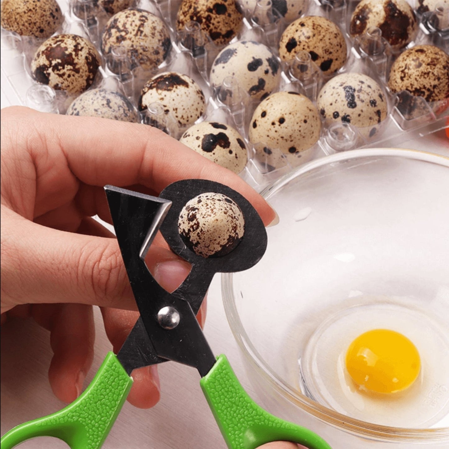 Stainless steel quail egg scissors with ergonomic handles for easy egg opening by Hatching Time