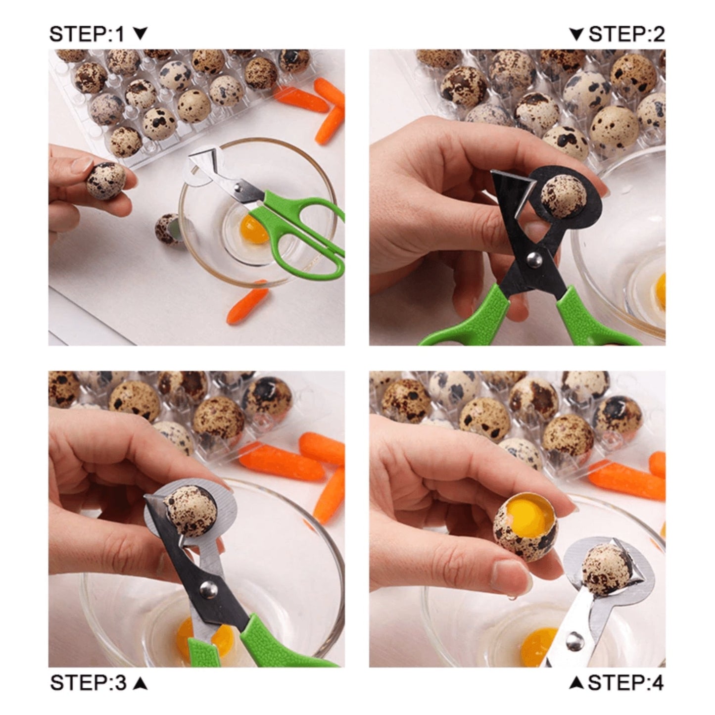Stainless steel quail egg scissors with ergonomic handles for easy egg opening by Hatching Time