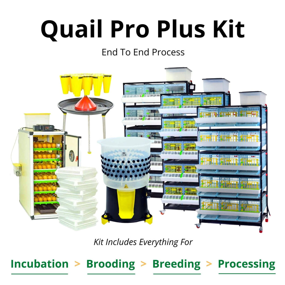 Complete quail raising kit by Hatching Time with 324-egg incubator, 5-layer brooder, and automatic egg turner