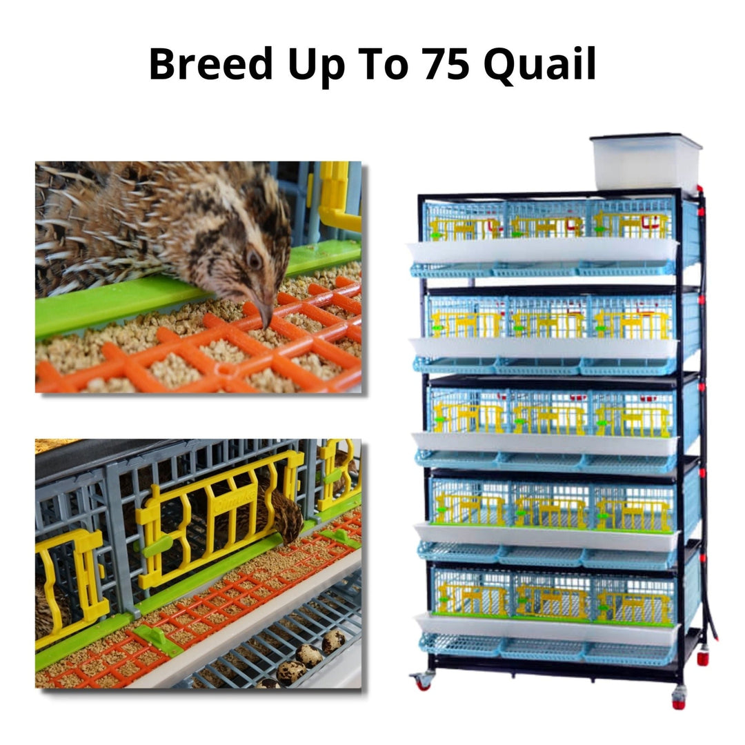 Complete quail raising kit with 5-layer brooder, automatic egg turner, and 324-egg incubator by Hatching Time