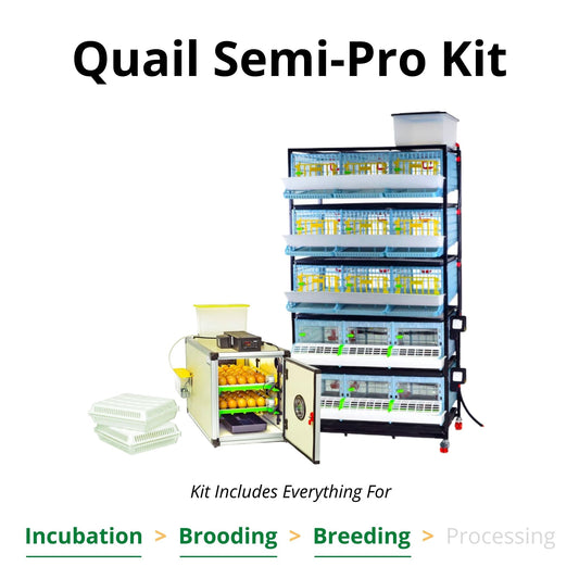 Quail Semi-Pro Complete Breeding Kit with 3-layer cage for 45 birds, automatic incubator by Hatching Time