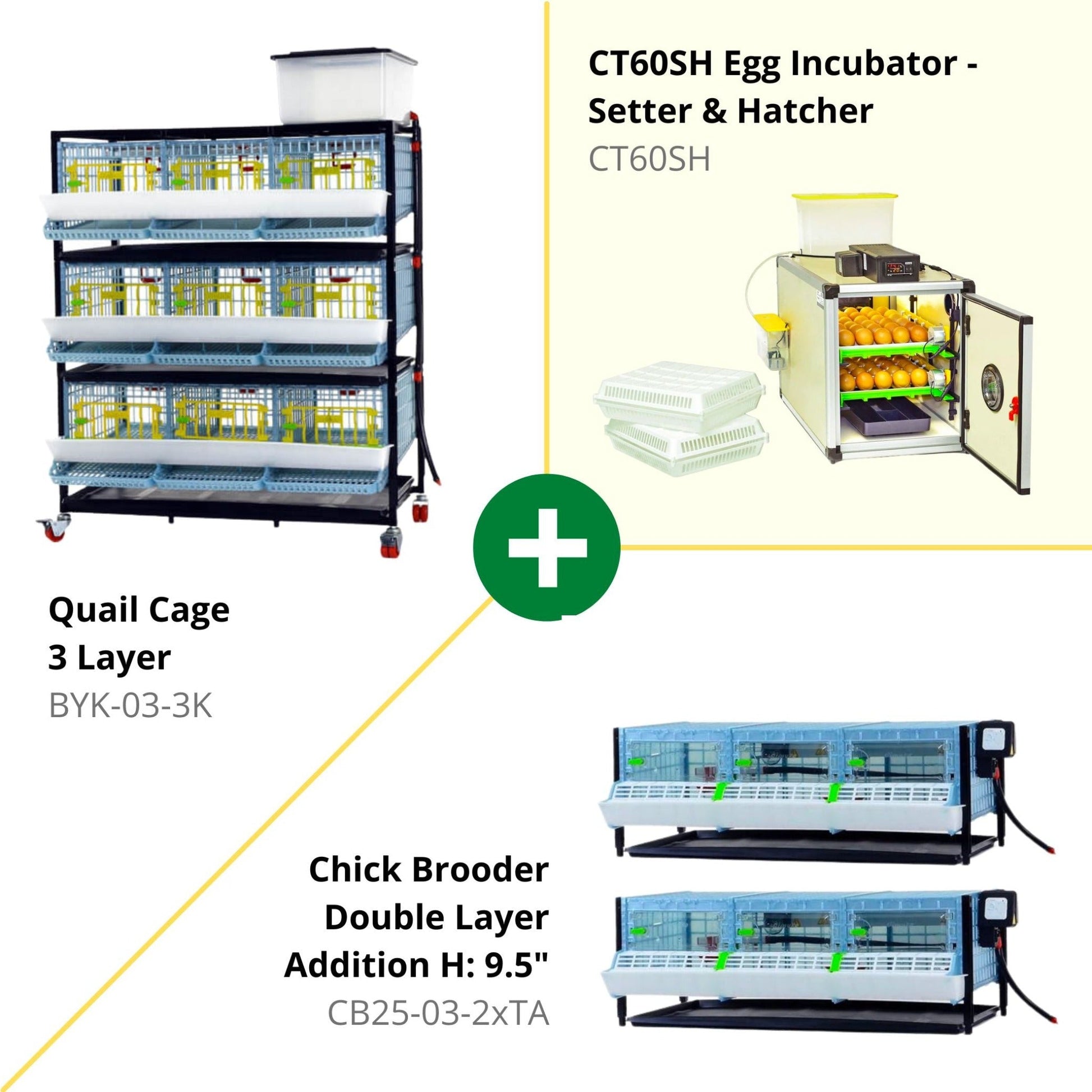Quail Semi-Pro breeding kit by Hatching Time, 3-layer cage, 45 bird capacity, automatic egg incubator