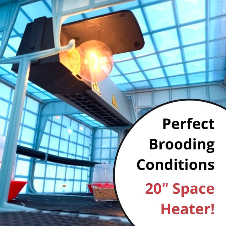 Complete brooding and breeding setup for 15 quail birds by Hatching Time, featuring feeders and waterers.