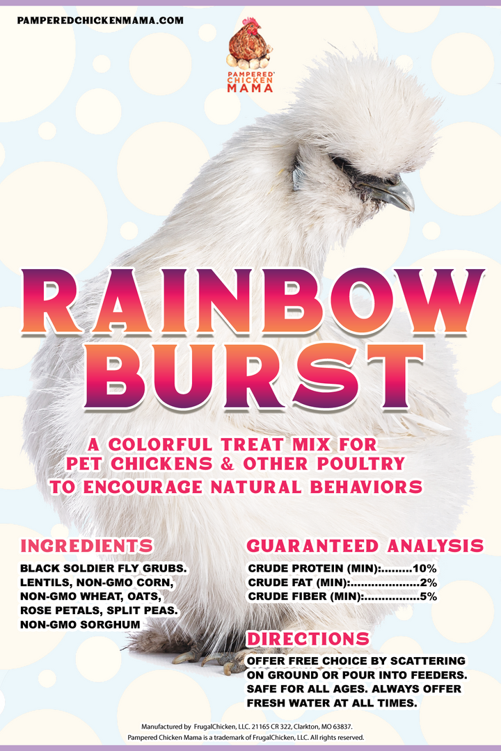Rainbow Burst Chicken Treat - Black Soldier Fly Larvae Foraging Mix