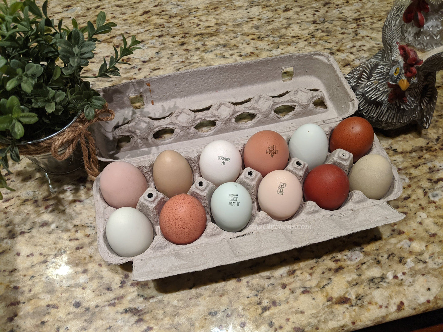 Colorful Fertile Rainbow Mix hatching eggs from AmericanBresse.com featuring 20+ breeds including blue and brahma eggs.